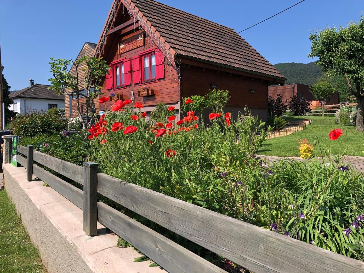 Chalet Colline Et Lou Винцфельдан Экстерьер фото