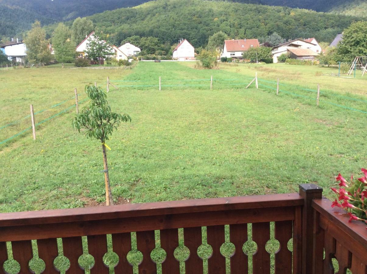 Chalet Colline Et Lou Винцфельдан Экстерьер фото